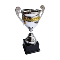 Award Cup